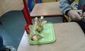 20151106_080457