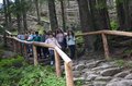 DSC_0667 (5)
